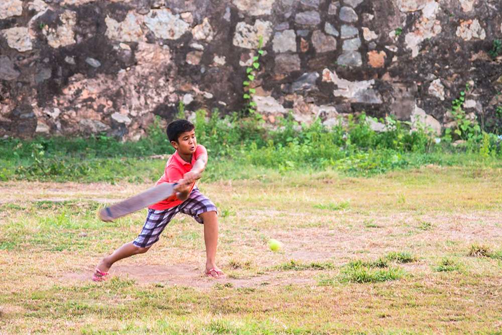 Halal Ready Meals - kid cricket